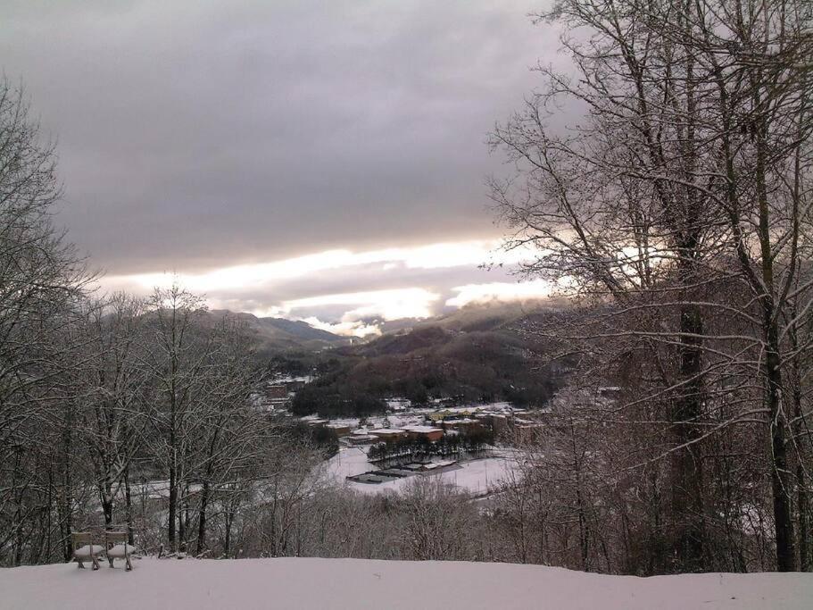 2 Bedroom Apartment Overlooks Wcu And Cullowhee Nc - Smoke And Pet Free Силва Екстериор снимка